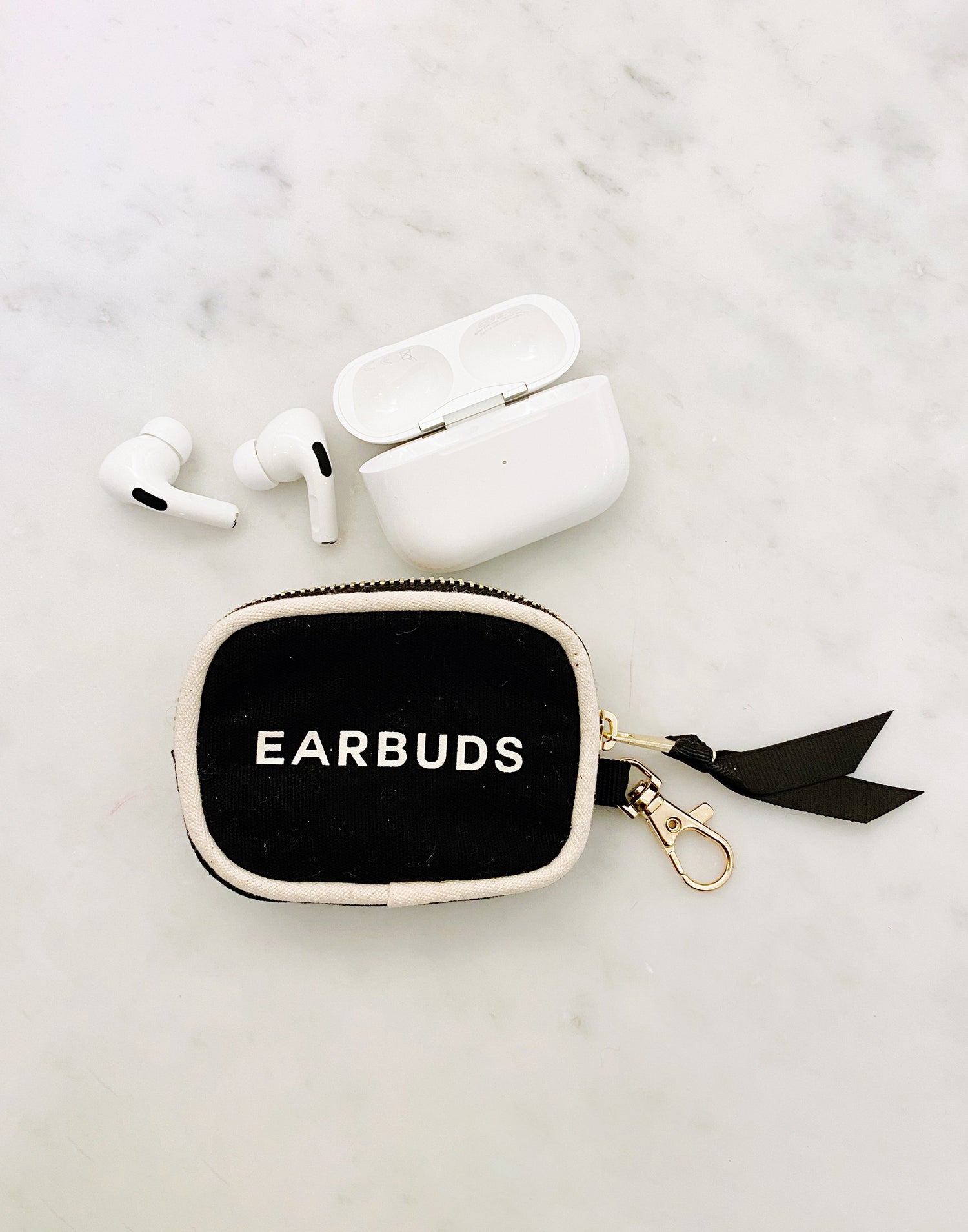 Mini Earpod Zipper Case in Black by Bag-all - Product View